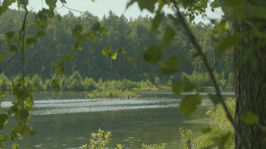 Ormanda güzel dağ gölü. Bir göl ile güzel manzara. Aynaya su yüzeyine mavi gökyüzü yansıtır.