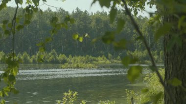 Ormanda güzel dağ gölü. Bir göl ile güzel manzara. Aynaya su yüzeyine mavi gökyüzü yansıtır.