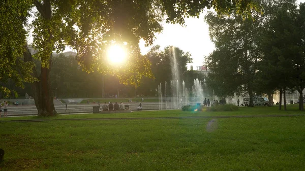 Zomer Gras Grasveld Beweging Waas van aangename wind met Helder zonlicht, Zonnig voorjaar achtergrond — Stockfoto