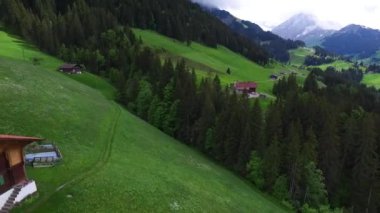 Yeşil dağ dağ manzarası güzel vietop görünümünü çiçek açan çiçekler ve eski geleneksel dağ lodge ile ovalar. Görüntüleri