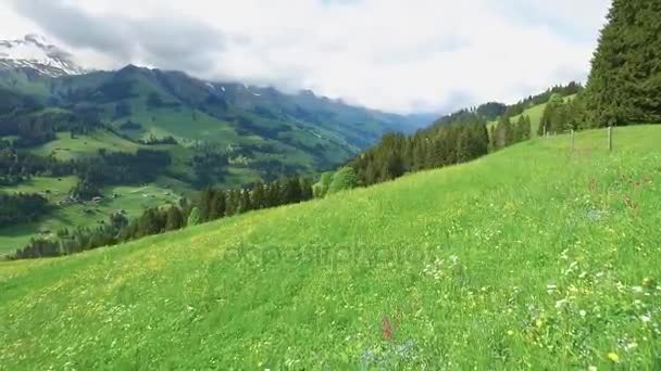 Schöne Aussicht auf die Berglandschaft mit grünen Almen mit blühenden Blumen und alten traditionellen Berghütten. Bildmaterial