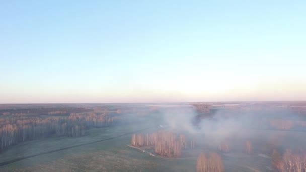 Letecký pohled na DRONY zemědělce vypalování suché trávy v době západu slunce obloha krajiny. Záběry. Kouř v poli letecký pohled. Oheň a kouř na podzim polí — Stock video