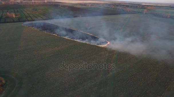 Vista aérea desde el granjero de drones Quema de hierba seca al atardecer, paisaje del cielo. Filmación. Fuego en una vista aérea de campo. Fuego en los campos de otoño — Vídeos de Stock