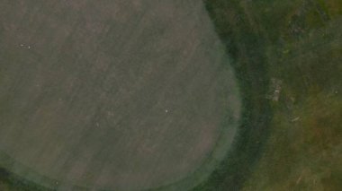 Üstten Görünüm yeşil golf sahası açık yeşil çim alan. Uçak uçan üzerinden havadan görünümü.