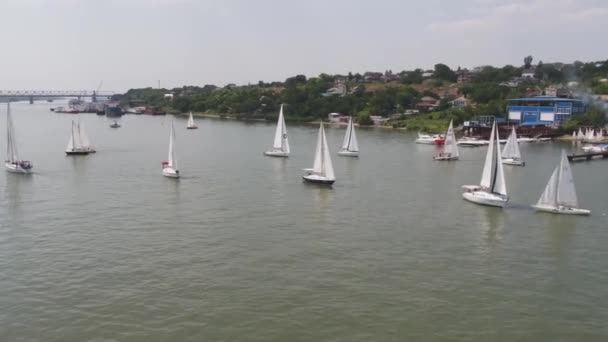 Aerial view on sailing regatta near island. Sailing ship yacht with white sails involved in water sports. Marine navigation in sunny summer day. — Stock Video