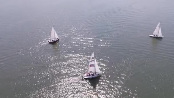 Sailboat in the sea near the port. Footage. White sailboat in the sea — Stock Video