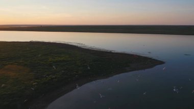 Kuşlar sürüsü renkli gökyüzü arka plan üzerinde. Günbatımı Nehri üzerinde. Martı Adası. Günbatımında hava Kuşlar uçar