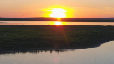 Martılar kuş günbatımı zaman nehrin uçmak. Kuşlar günbatımında etmezsin. Günbatımı hava Nehri üzerinde
