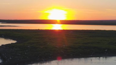 Kuşlar sürüsü renkli gökyüzü arka plan üzerinde. Günbatımı Nehri üzerinde. Martı Adası. Günbatımında hava Kuşlar uçar