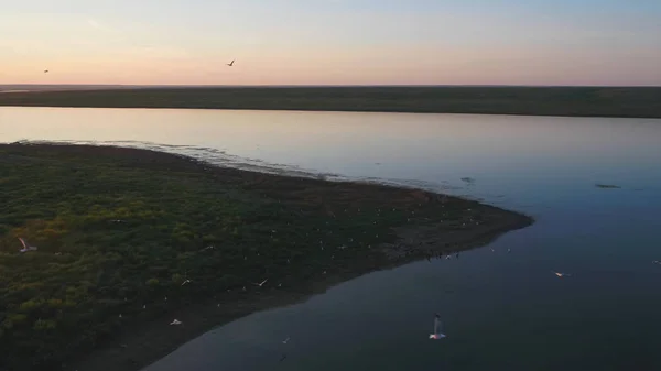 Una bandada de aves en el fondo del cielo colorido. Puesta de sol en el río. Isla de las gaviotas. Las aves vuelan al atardecer, aérea —  Fotos de Stock