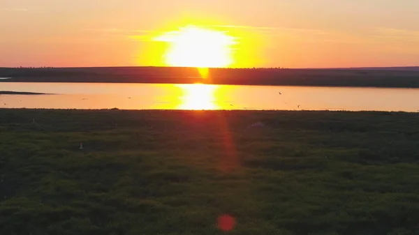 Een zwerm vogels op de achtergrond van kleurrijke hemel. Zonsondergang op de rivier. Eiland van meeuwen. Vogels vliegen bij zonsondergang, luchtfoto — Stockfoto