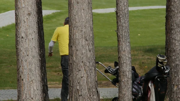 Flygfoto golfbana. Golfare gick nedför fairway på en kurs med golfbag och vagn — Stockfoto