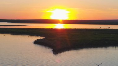 Martılar kuş günbatımı zaman nehrin uçmak. Kuşlar günbatımında etmezsin. Günbatımı hava Nehri üzerinde
