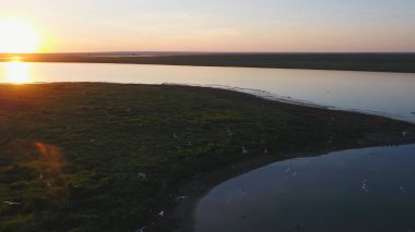 Kuşlar sürüsü renkli gökyüzü arka plan üzerinde. Günbatımı Nehri üzerinde. Martı Adası. Günbatımında hava Kuşlar uçar