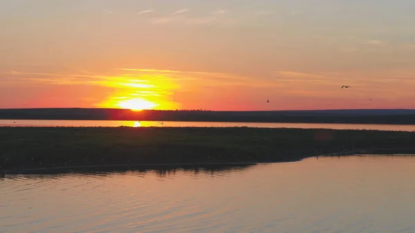 Meeuwen vogel vliegen boven de rivier op zonsondergang tijd. Vogels vliegen bij zonsondergang. Zonsondergang op de rivier, luchtfoto — Stockfoto