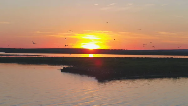 Una bandada de aves en el fondo del cielo colorido. Puesta de sol en el río. Isla de las gaviotas. Las aves vuelan al atardecer, aérea —  Fotos de Stock