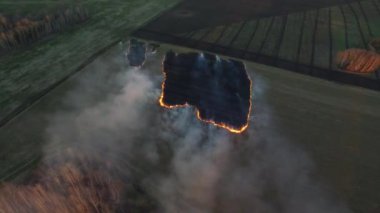 Havadan görünümü yangın sahada çalışan itfaiyeci kamyon. drone çiftçi Burning kuru ot günbatımı zaman, gökyüzü manzara havadan görünümü.