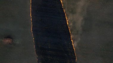 Havadan görünümü büyük buğday alanında büyük yanıyor. Buğday sahada ateş. Şiddetli bir kuraklık sırasında bozkırlarında ve alanları tamamen orman ve otlak yangınlar yok.