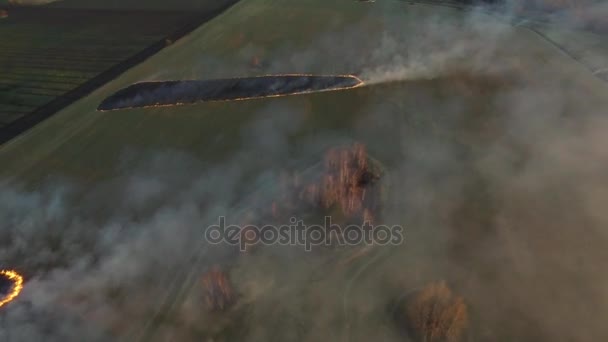 Havadan görünümü yangın sahada çalışan itfaiyeci kamyon. drone çiftçi Burning kuru ot günbatımı zaman, gökyüzü manzara havadan görünümü. — Stok video