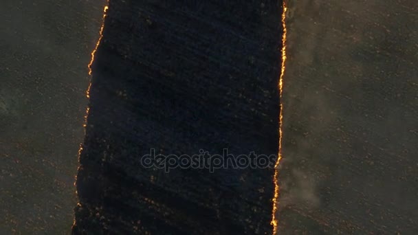 Campos de fuego al atardecer. Filmación. Fuego a gran escala, la vista desde la parte superior. Antena — Vídeos de Stock