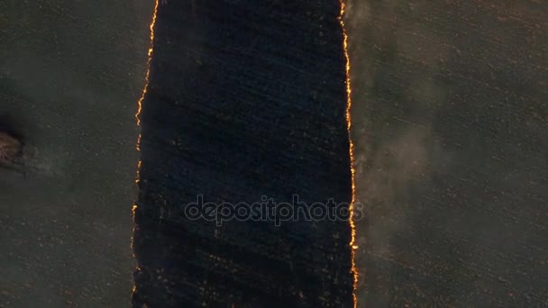 सूर्यास्ताच्या वेळी अग्निशमन शेतात. फुटेज. मोठ्या प्रमाणात आग, वरच्या बाजूस दृश्य. हवाई — स्टॉक व्हिडिओ