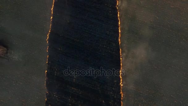 Campos de fuego al atardecer. Filmación. Fuego a gran escala, la vista desde la parte superior. Antena — Vídeos de Stock