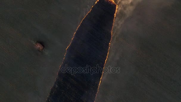 空撮。映像。収穫後のトウモロコシ畑で火災します。バイオマスを燃焼 — ストック動画