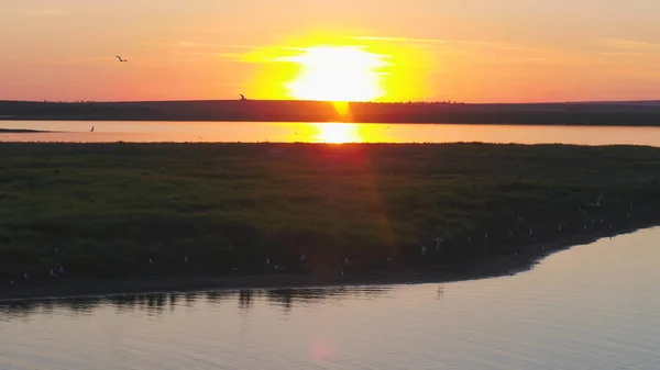 Las gaviotas vuelan por encima del río al atardecer. Las aves vuelan al atardecer. Puesta de sol en el río, aérea —  Fotos de Stock