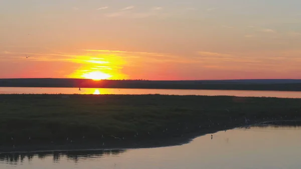 カモメの鳥は、日没時に川の上飛ぶ。夕暮れ時に鳥が飛んでいきます。空中川の夕日 — ストック写真