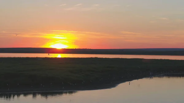 Las gaviotas vuelan por encima del río al atardecer. Las aves vuelan al atardecer. Puesta de sol en el río, aérea —  Fotos de Stock