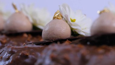 Çiçekler ve krem dondurma portre üzerinde. Çikolatalı dondurma bir sopa. Çikolatalı dondurma çiçeklerle süslenmiş bir sopa