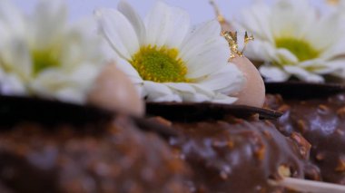 Çiçekler ve krem dondurma portre üzerinde. Çikolatalı dondurma bir sopa. Çikolatalı dondurma çiçeklerle süslenmiş bir sopa