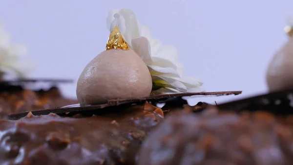 Flores e creme no closeup sorvete. Gelado de chocolate em um pau. Sorvete de chocolate em um pau decorado com flores — Fotografia de Stock