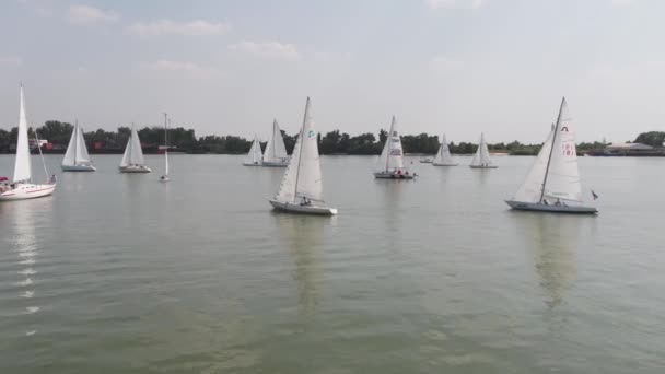 Łodzie żaglowe pływające na niebieskie wody jeziora. Konkurs sport żeglarstwo. Jacht i piękne krajobrazy — Wideo stockowe