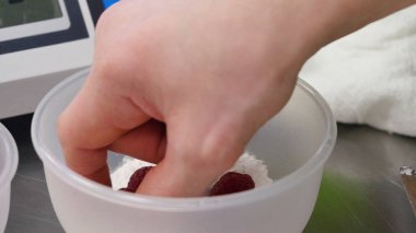 Ahududu ile pudra şekeri. Ahududu, pudra şekeri, cemaatte yakın çekim