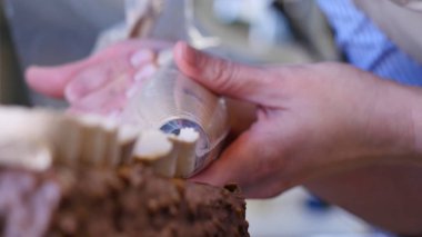 Bir pasta pişirme. Kek üzerine krema sıkma. Kek üzerine sıkılmış lezzetli lezzetli krem