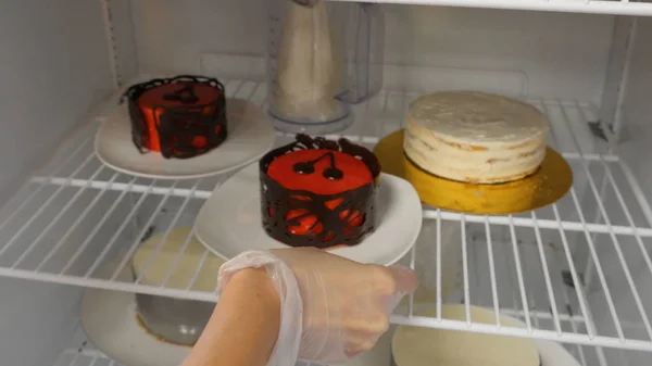 Kobieta kładzie słodkie ciasto w lodówce. Ciasto w lodówce — Zdjęcie stockowe