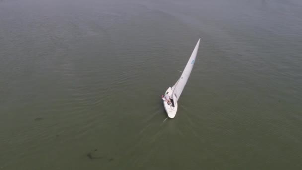 Segeljacht auf dem großen Fluss. Drei Yachten kreuzen auf dem Fluss. Yachten rasen auf dem See. — Stockvideo