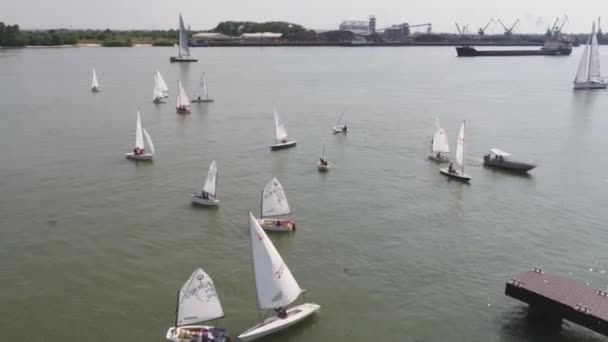 Un porto di barche a vela con un gran numero di barche a vela. Porto di navigazione. Aerea — Video Stock