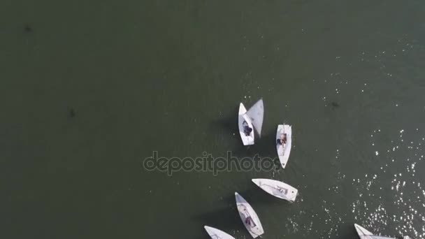 Zeilboten drijvend op het blauwe water van het meer. Competitie sport van zeilen. Jacht en prachtige zeegezichten — Stockvideo