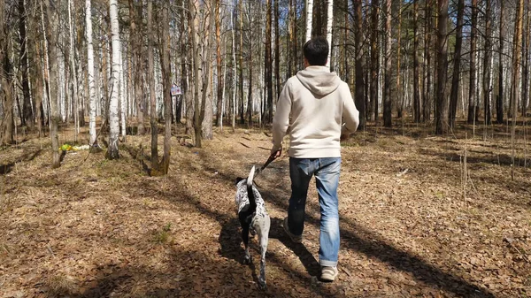 El hombre pasea con el perro en el parque de otoño en el día soleado. Hombre caminando con un perro dálmata, vista desde atrás — Foto de Stock