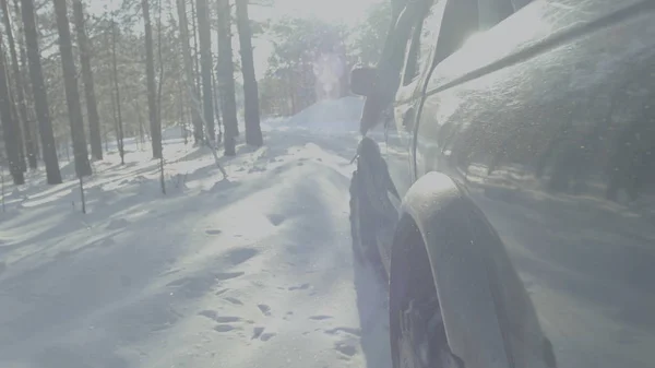 Promenades en voiture sur une route forestière d'hiver. Une voiture dans une route enneigée entre les arbres — Photo