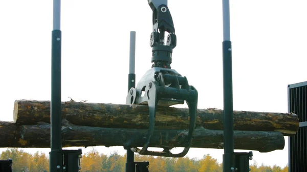 Een machine bosbouw ladingen een log vrachtwagen bij de landing site. Forest machine down logs — Stockfoto