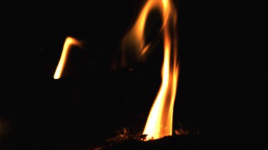 Portre siyah arka plan üzerinde kırmızı ateş ahşap yakma. Şöminede yanan odun.