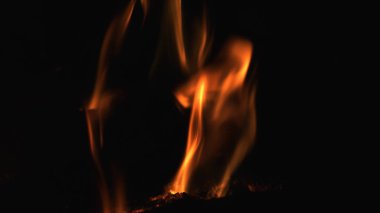 Portre siyah arka plan üzerinde kırmızı ateş ahşap yakma. Şöminede yanan odun.