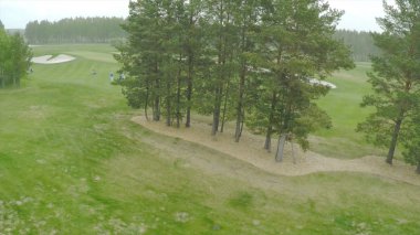 Üstten Görünüm yeşil golf sahası açık yeşil çim alan. Uçak uçan üzerinden havadan görünümü
