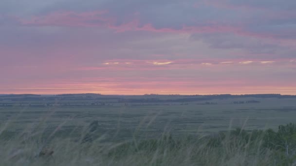 Alba naturale sul campo o prato. Cielo drammatico luminoso e terra oscura. Paesaggio di campagna sotto scenografico cielo colorato al tramonto alba. Sun Over Skyline, Horizon. Colori caldi — Video Stock