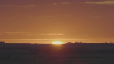 Alan veya çayır üzerinde doğal gündoğumu. Parlak dramatik gökyüzü ve karanlık yere. Kırsal manzara renkli gökyüzü gün batımında altında şafak Sunrise. Güneş bitti manzarası, ufuk. Sıcak renkler