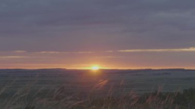 Yeşil alan yaz manzara, timelapse. Bulutlar ve mavi gökyüzü alanı