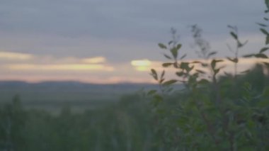 Yeşil alan yaz manzara, timelapse. Bulutlar ve mavi gökyüzü alanı